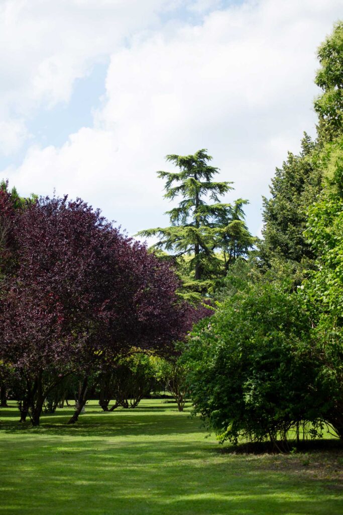 Parco Villa Sagredo