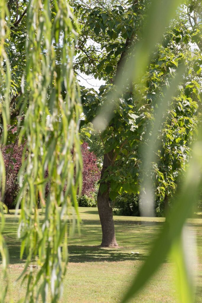 Parco Villa Sagredo