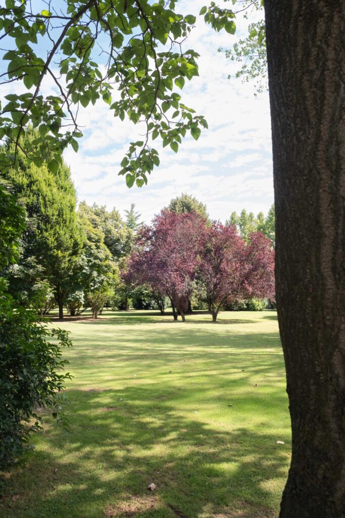 il parco Villa Sagredo